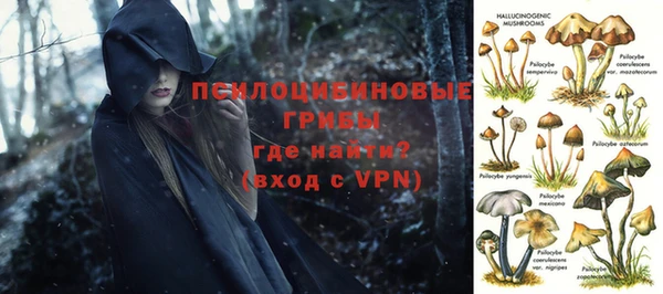 мескалин Алексин