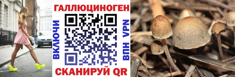 маркетплейс формула Петровск-Забайкальский Псилоцибиновые грибы Magic Shrooms